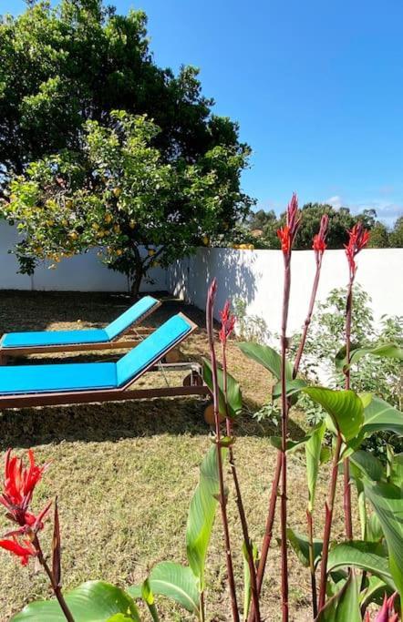Terra Da Lagoa - Villa Near The Beach & Lagoon Nadadouro Exterior photo